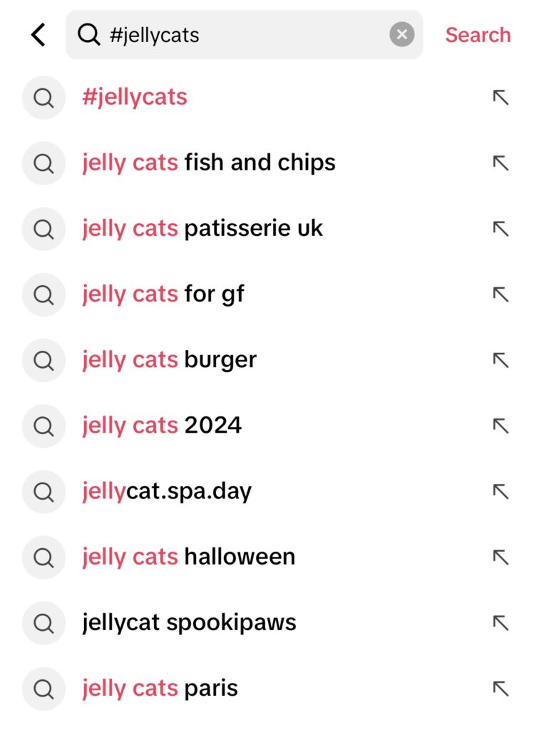 Screenshot showing TikTok Jellycat search terms