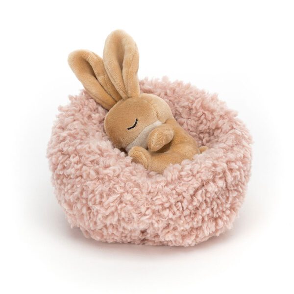 Hibernating Bunny